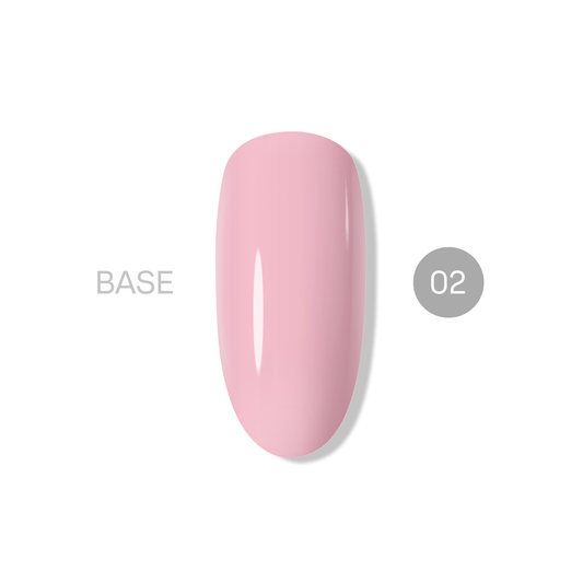 База NASHE 02