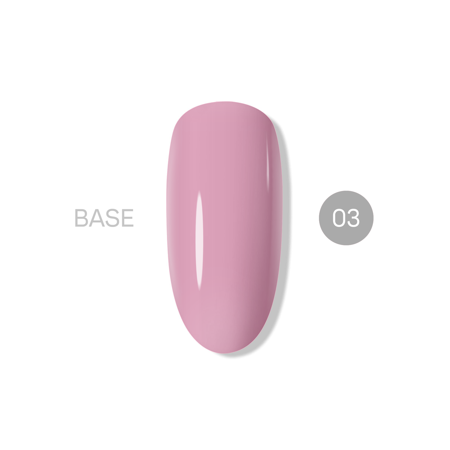 NASHE Base 03