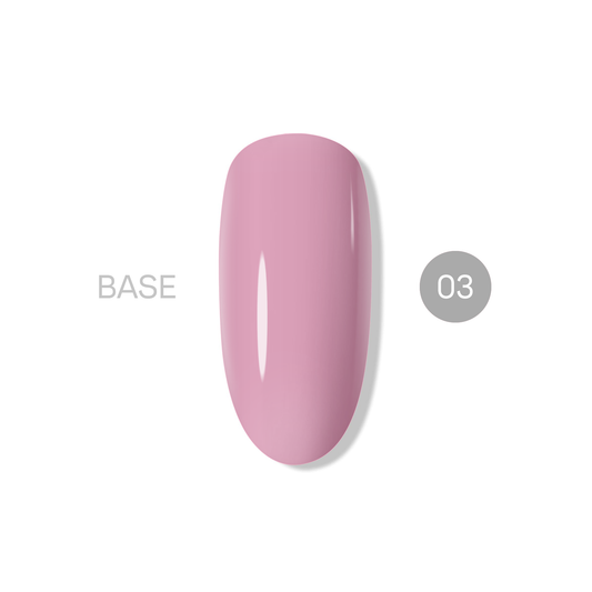 База NASHE 03