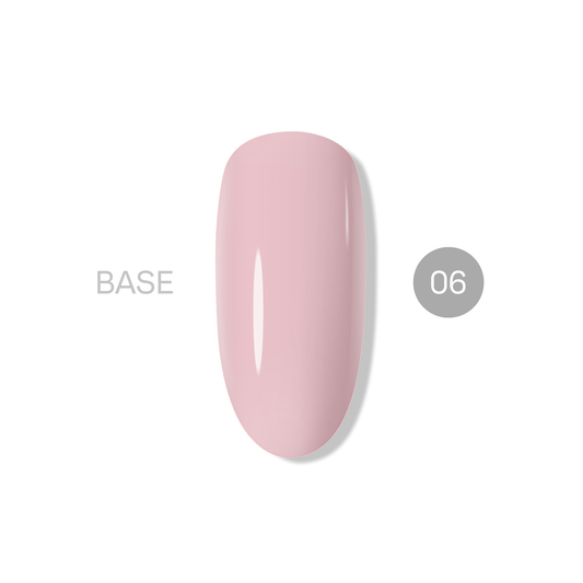 База NASHE 06