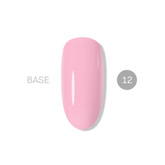 База NASHE 12