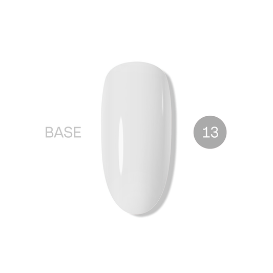 База NASHE 13